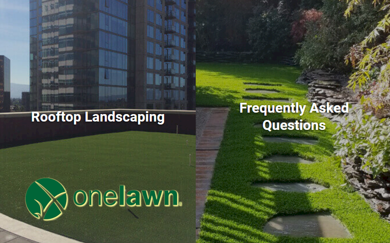 artificial fake grass turf installers in san jose