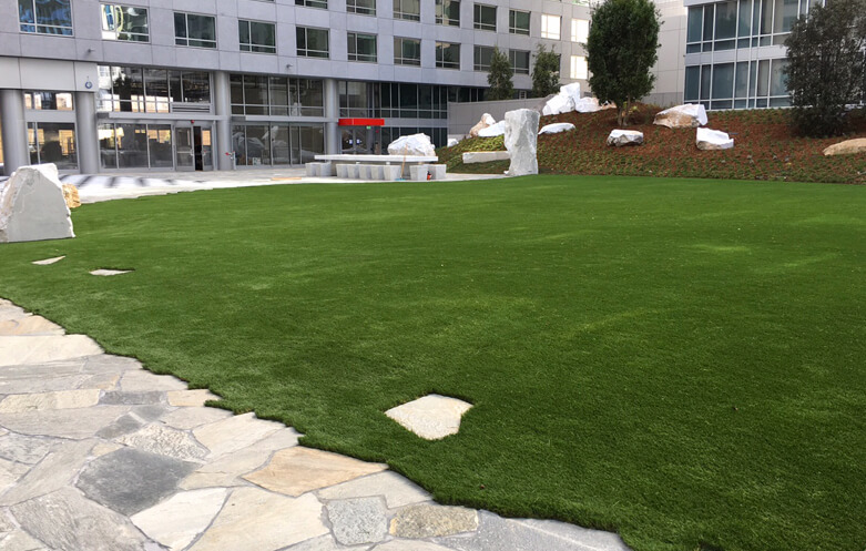 Synthetic turf Corte Madera