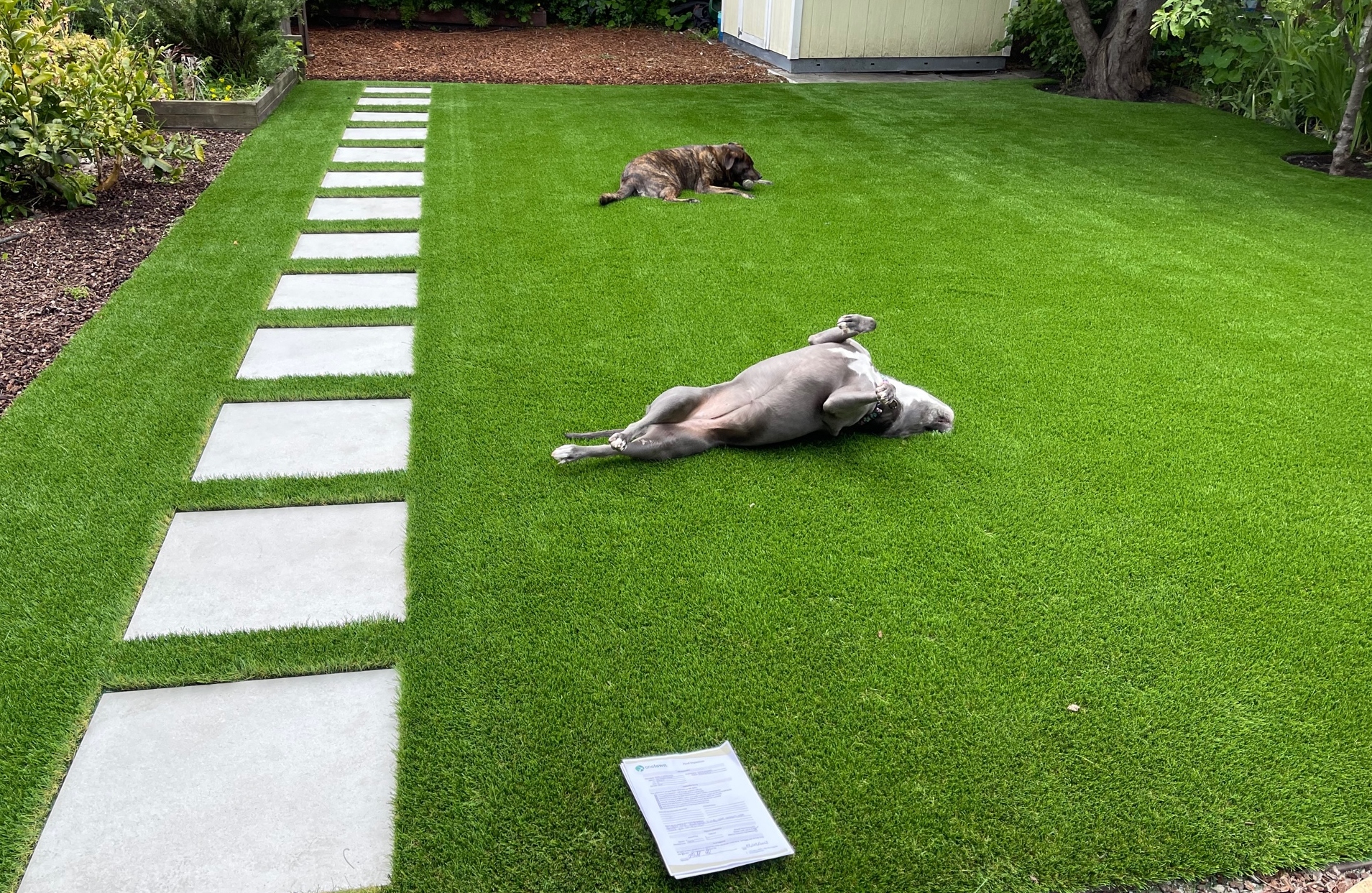 Artificial Grass Mat Runner, Lifelike Turf