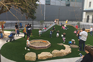 cupertino Synthetic grass Grass