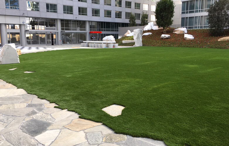 fake grass Grass redwood city California