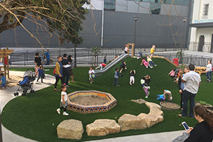 Sebastopol Synthetic grass