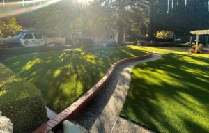 Easy Eco-Friendly Tips for Artificial Grass