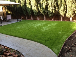 When Does Artificial Grass Make More Sense Than Natural Grass in the Bay Area?
