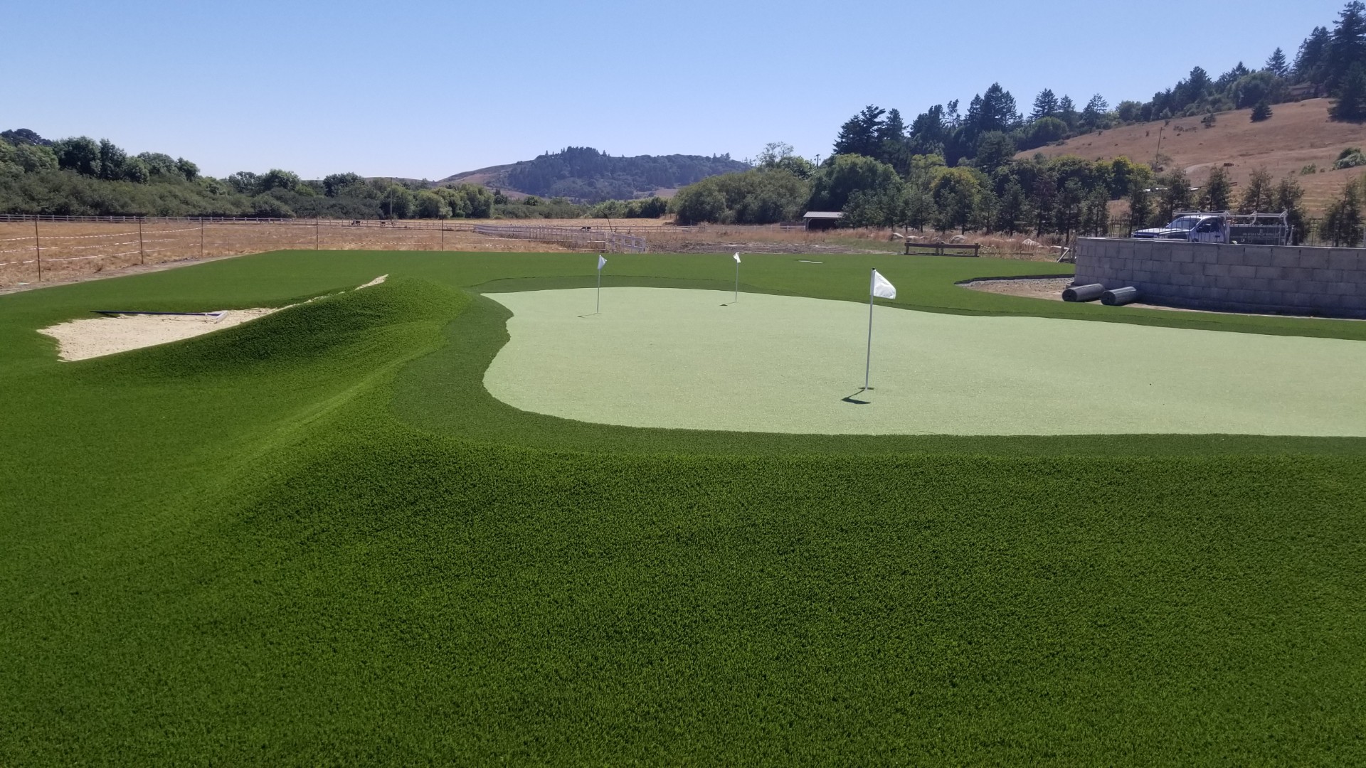 What Should Homeowners Know Before Installing Artificial Grass for the First Time